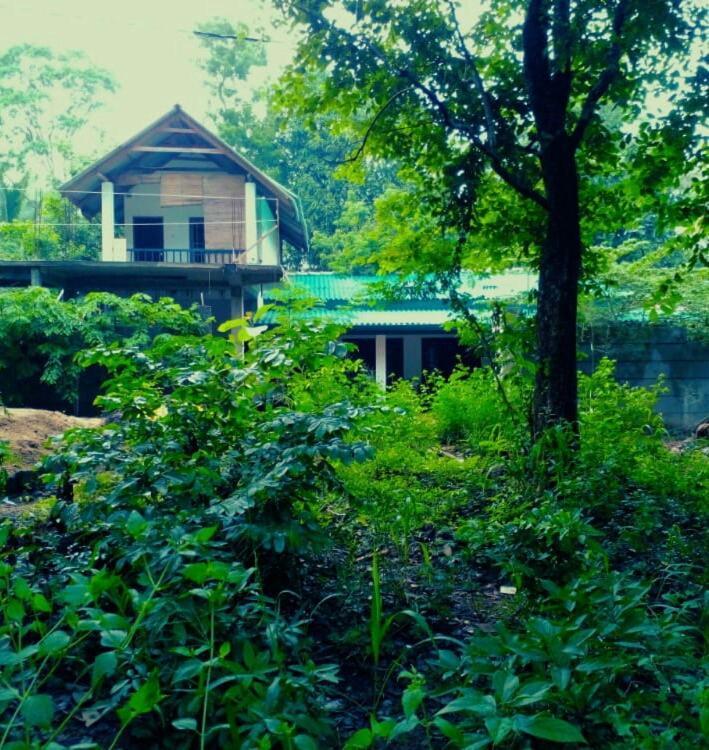 Habarana Dulwan Guest House 外观 照片