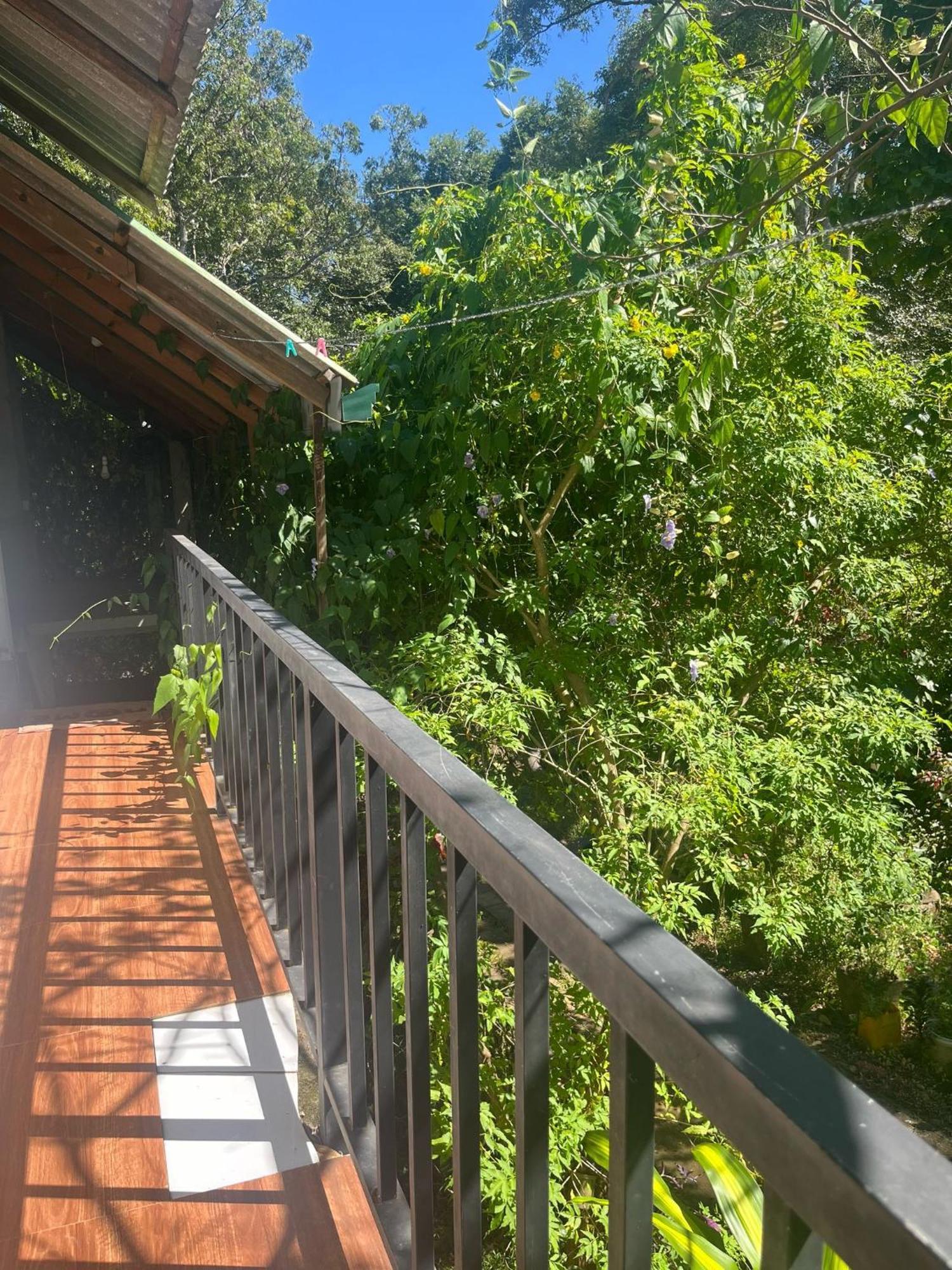 Habarana Dulwan Guest House 客房 照片