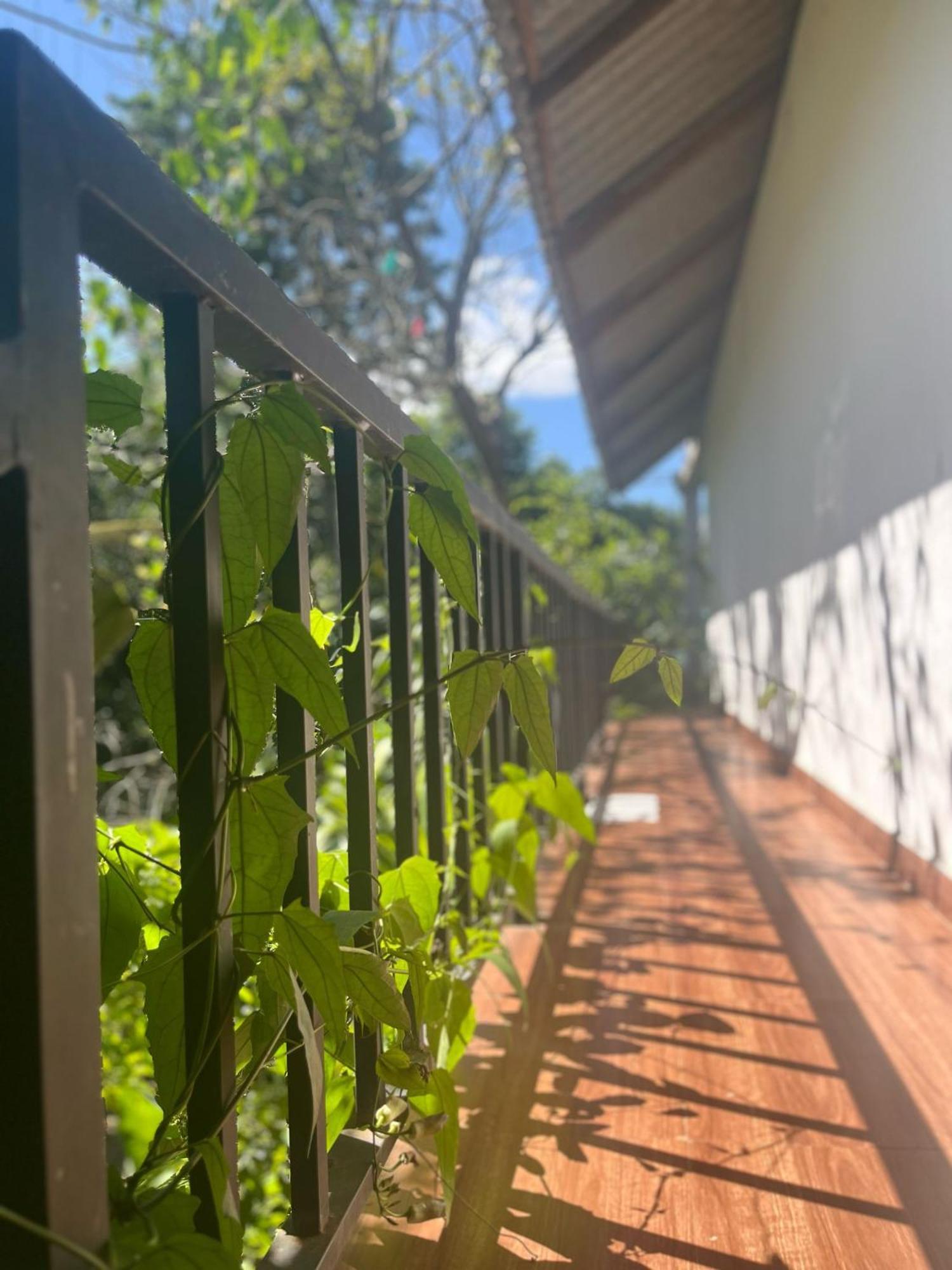 Habarana Dulwan Guest House 客房 照片